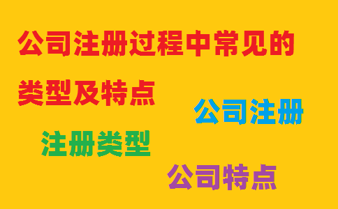 公司注冊過程中常見的類型及特點